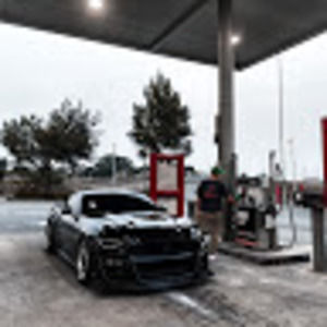 Meet your Posher, George